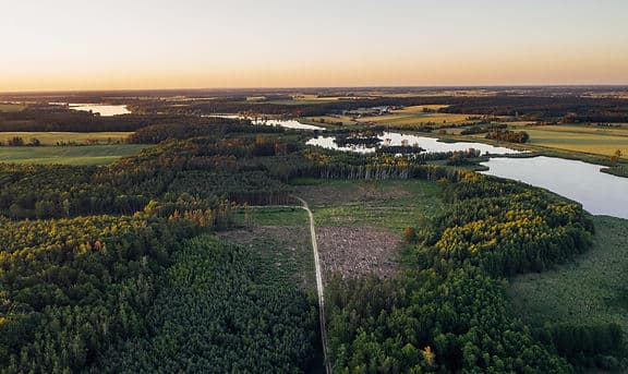 Industry expertise slide 3