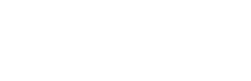 Skydio