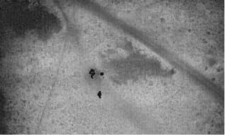 Locate people and animals in the dark rapidly